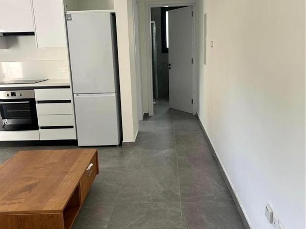 1 bedroom apartment for rent egkomi nicosia 8450704 image 16336601