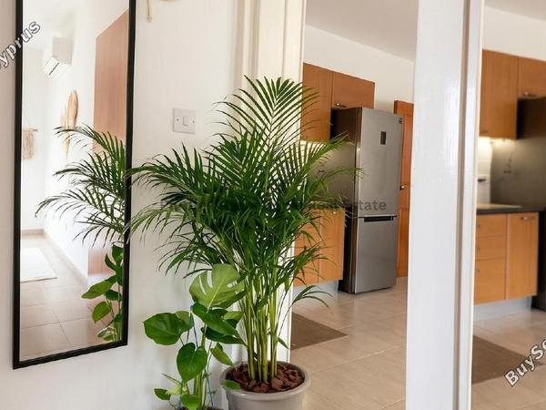 1 bedroom apartment for sale geroskipou paphos 8542704 image 15517366