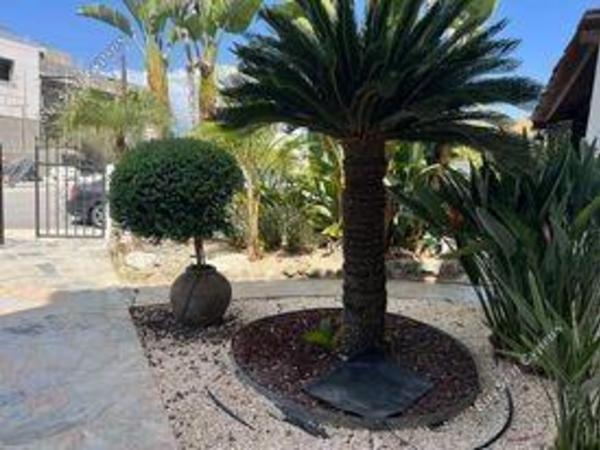 6 bedroom detached house for sale kato paphos universal paphos 1355704 image 5641461