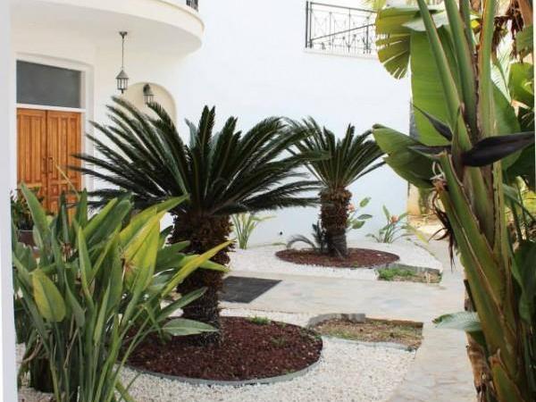 6 bedroom detached house for sale kato paphos universal paphos 1355704 image 5641470