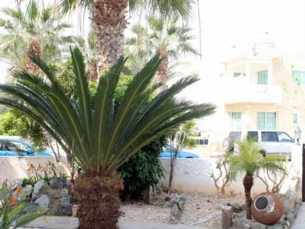 6 bedroom detached house for sale kato paphos universal paphos 1355704 image 5641473