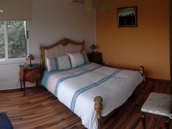 6 bedroom detached house for sale kato paphos universal paphos 1355704 image 5641509