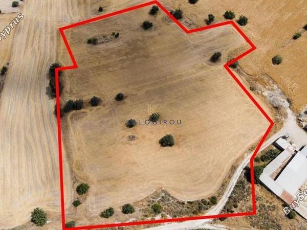 land for sale anglisides larnaca 1194704 image 5569413
