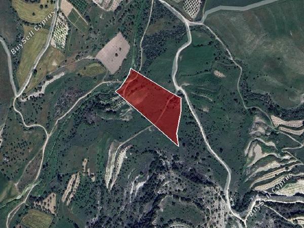 land for sale kannaviou paphos 1174704 image 15602533