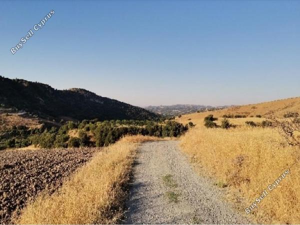 land for sale kannaviou paphos 1174704 image 15602534