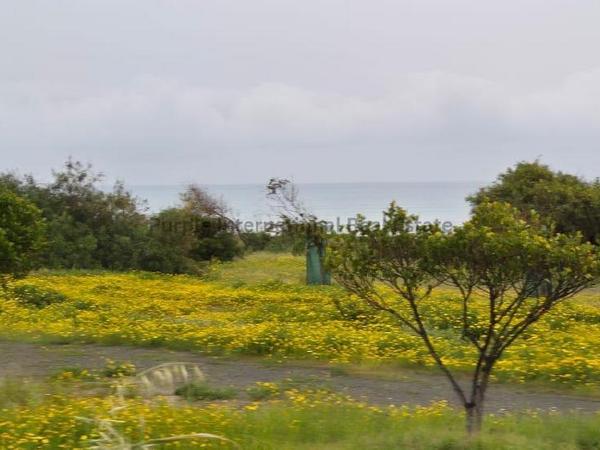 plot for sale dekeleia larnaca 8387704 image 16300530