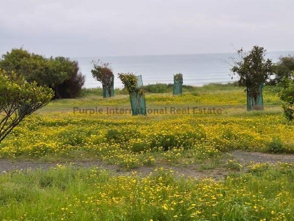 plot for sale dekeleia larnaca 8387704 image 16300531