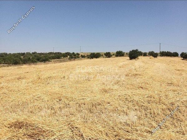 land for sale alampra nicosia 1150804 image 5122749