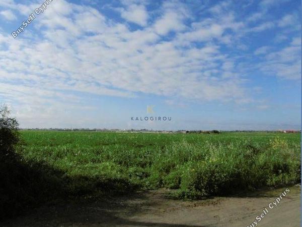 land for sale dromolaxia larnaca 1284804 image 5621940
