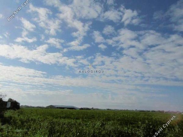 land for sale dromolaxia larnaca 1284804 image 5621945