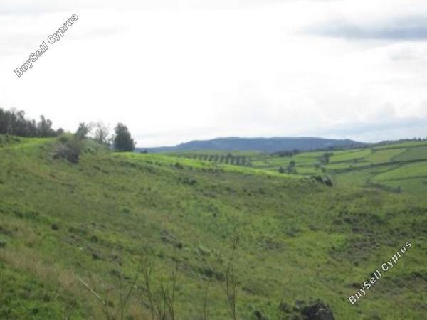 land for sale drynia paphos 1810804 image 16009175