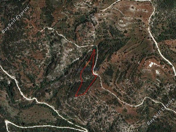 plot for sale dora limassol 1194804 image 5570768