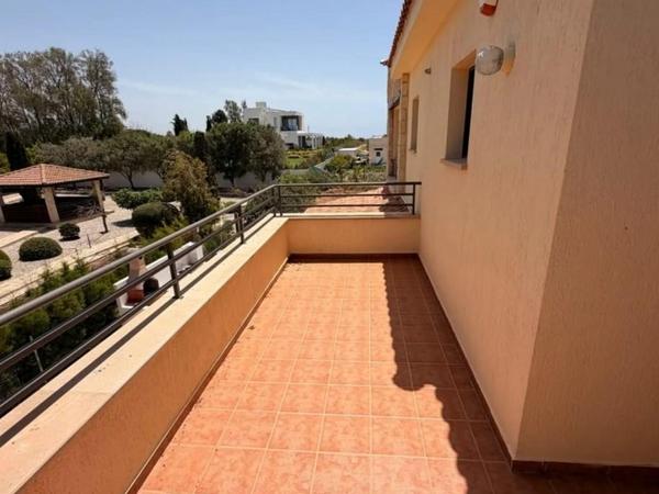 4 bedroom detached house for rent coral bay paphos 8833904 image 17013040