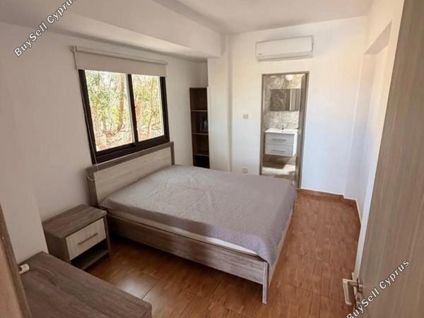 4 bedroom detached house for rent coral bay paphos 8833904 image 17013048