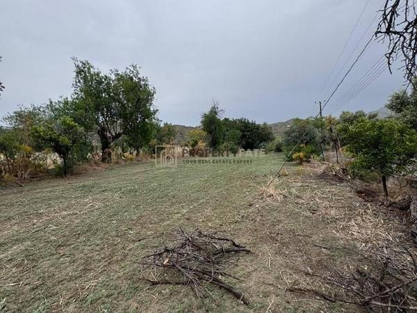 land for sale ora larnaca 1924904 image 15992230