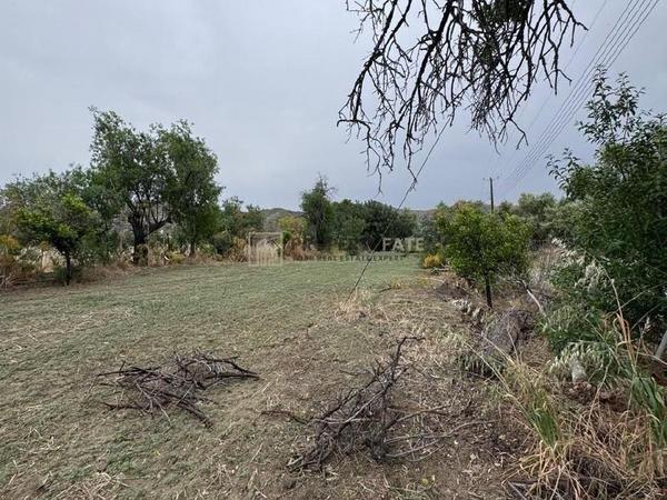 land for sale ora larnaca 1924904 image 15992234