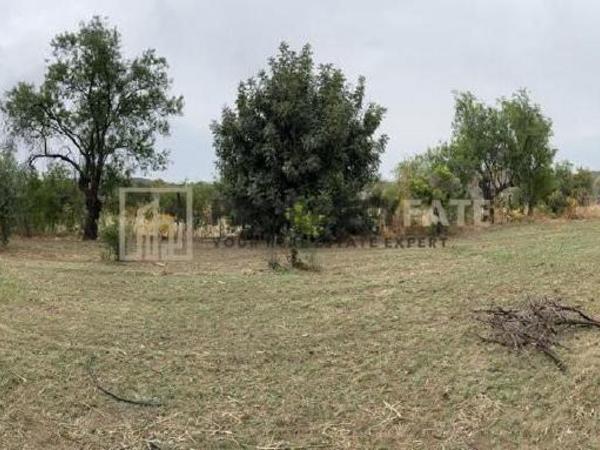 land for sale ora larnaca 1924904 image 15992237