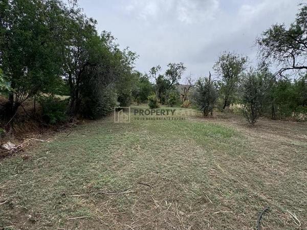 land for sale ora larnaca 1924904 image 15992242