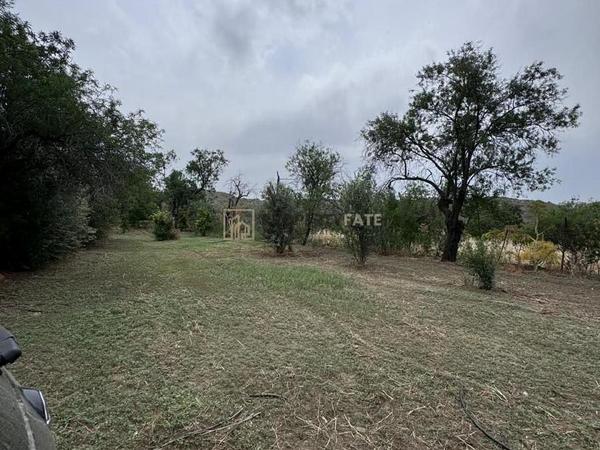 land for sale ora larnaca 1924904 image 15992243
