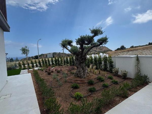 3 bedroom detached house for rent agios tychonas limassol 8699014 image 16934450