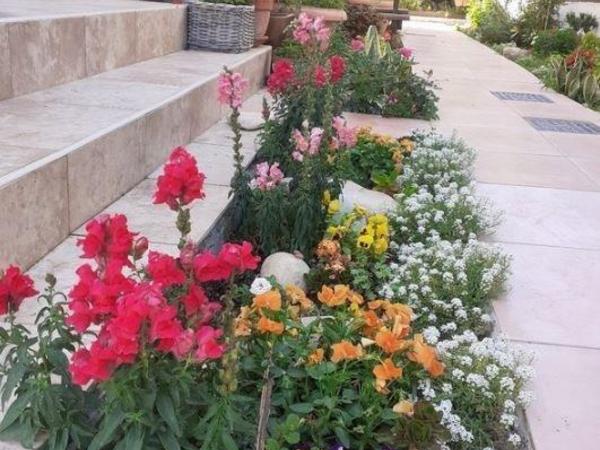 4 bedroom detached house for sale agios athanasios limassol 1678014 image 15720493