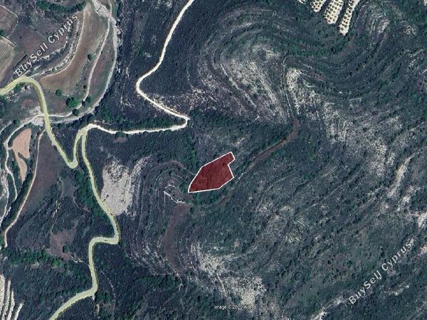land for sale dora limassol 7806014 image 15596543