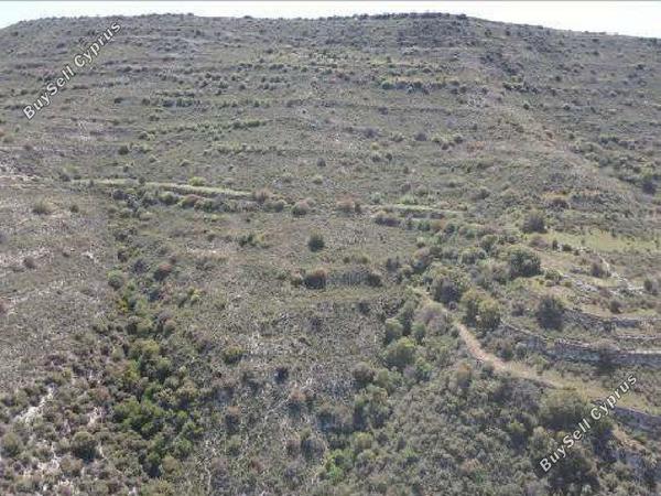land for sale dora limassol 7806014 image 15596546