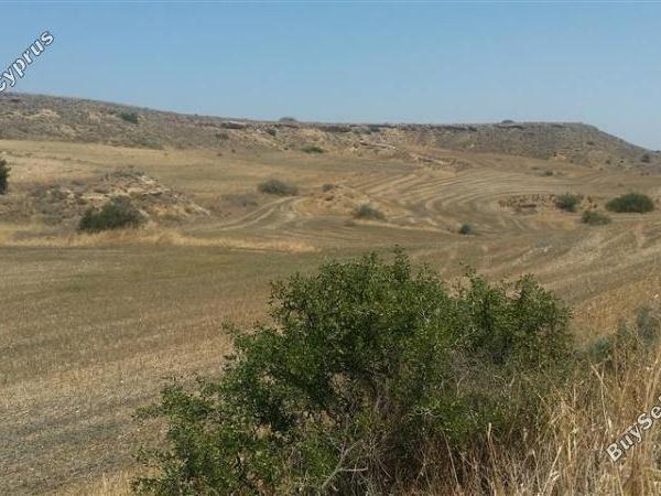 land for sale tseri nicosia 1062014 image 16185619