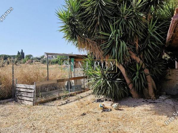 3 bedroom detached house for sale politiko nicosia 1541114 image 16742056
