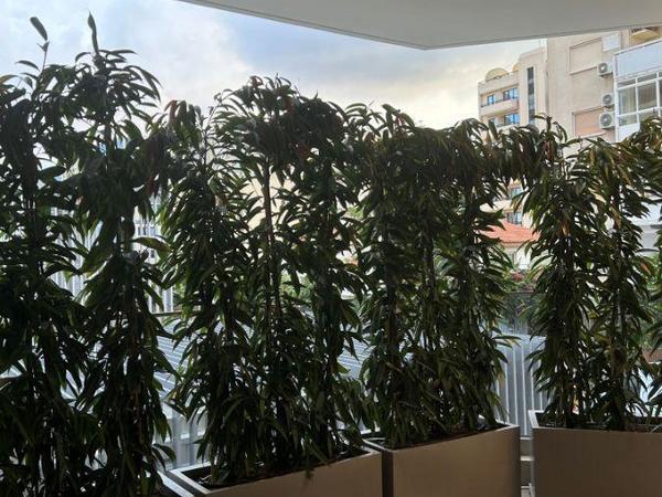 4 bedroom apartment for sale neapolis limassol 1604114 image 4045758