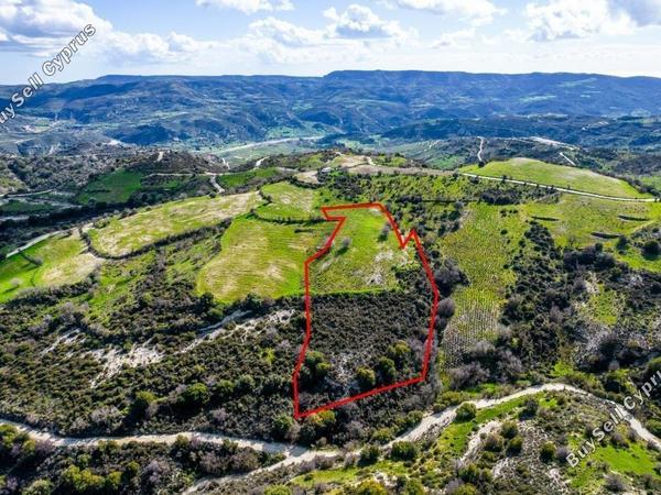 land for sale salamiou paphos 1898114 image 14212009
