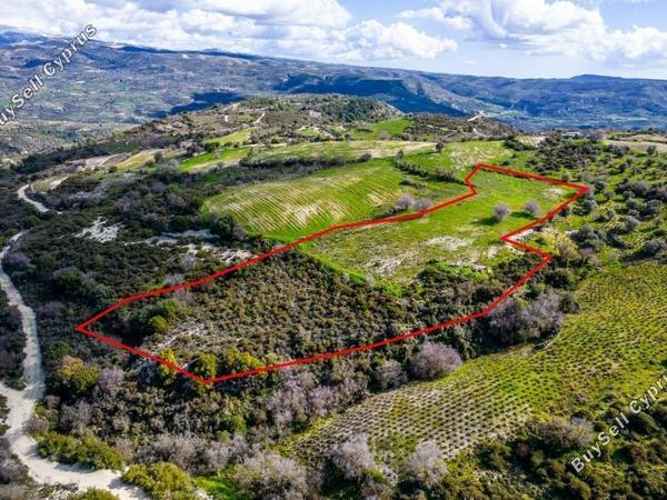 land for sale salamiou paphos 1898114 image 14212019