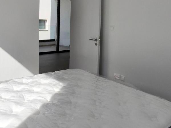 1 bedroom apartment for rent aglantzia nicosia 8495214 image 16336123