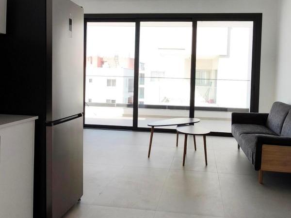 1 bedroom apartment for rent aglantzia nicosia 8495214 image 16336130
