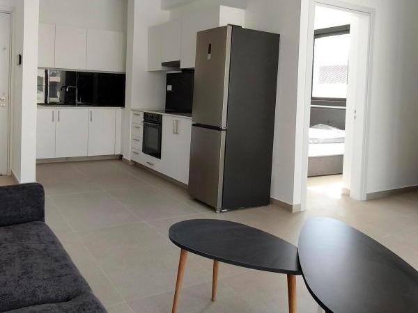 1 bedroom apartment for rent aglantzia nicosia 8495214 image 16336131