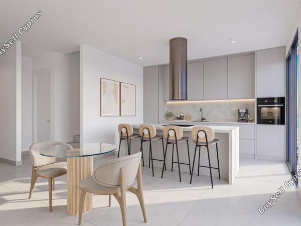 3 bedroom detached house for sale mesogi paphos 8395214 image 16041434