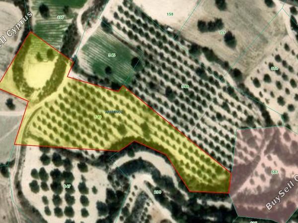 land for sale alaminos larnaca 8001214 image 12718047