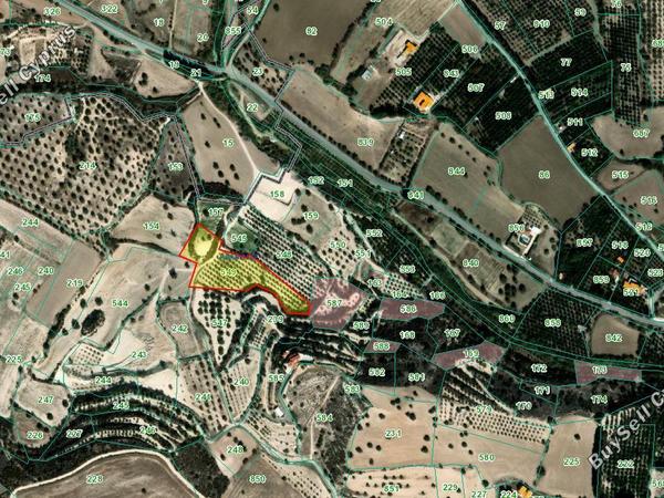 land for sale alaminos larnaca 8001214 image 12718048