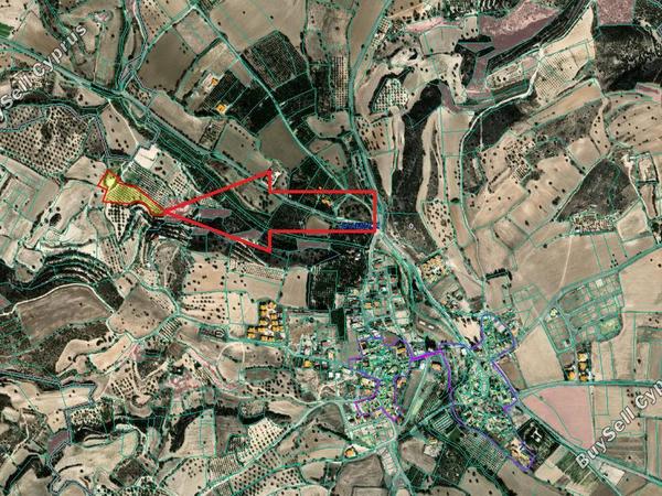 land for sale alaminos larnaca 8001214 image 12718050