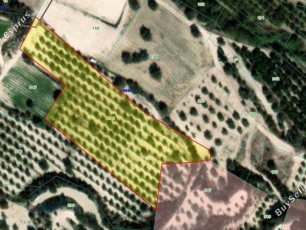 land for sale alaminos larnaca 8001214 image 12732765