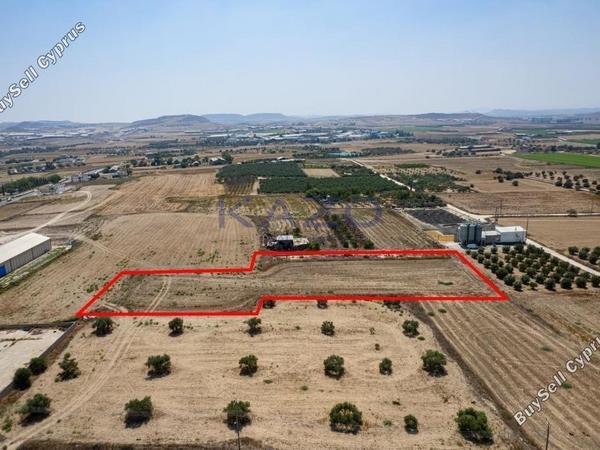 land for sale athienou larnaca 1933214 image 7609689