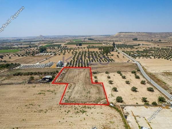 land for sale athienou larnaca 1933214 image 7609690