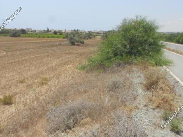 land for sale mazotos larnaca 831214 image 1313575