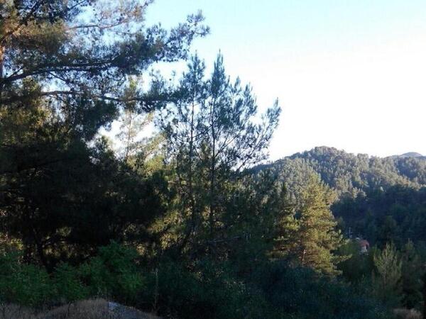 land for sale moniatis limassol 683214 image 408399