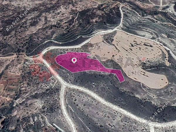 land for sale anglisides larnaca 1818314 image 6319396