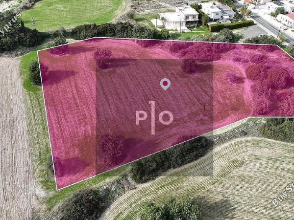 land for sale choirokoitia larnaca 8275314 image 15159131