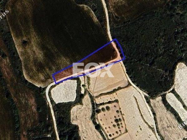 land for sale kathikas paphos 1301314 image 5588894