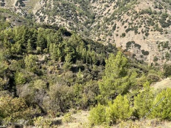 land for sale moutoullas nicosia 7980314 image 11622159