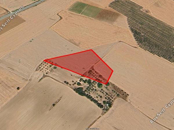 land for sale softades larnaca 7613314 image 13135741