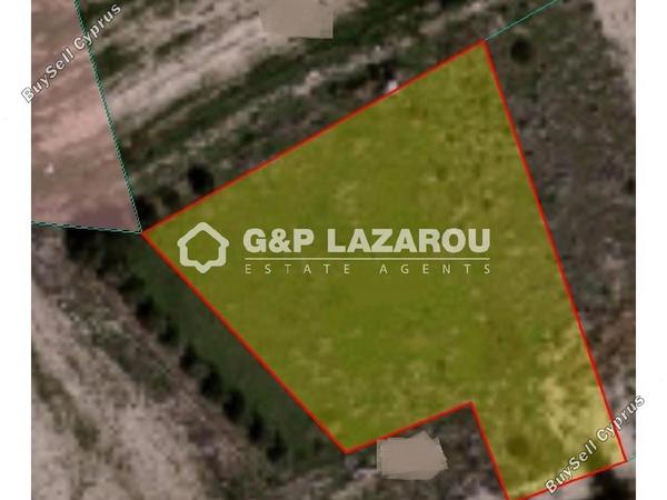 land for sale agios theodoros larnacas larnaca 1685414 image 6018152